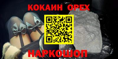 СК Кингисепп