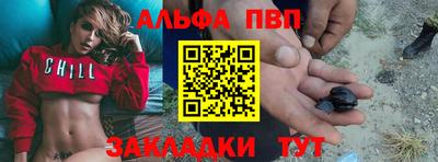 СК Кингисепп