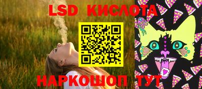СК Кингисепп