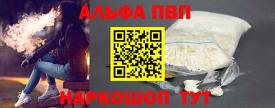 СК Кингисепп