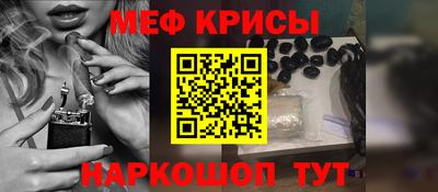 СК Кингисепп